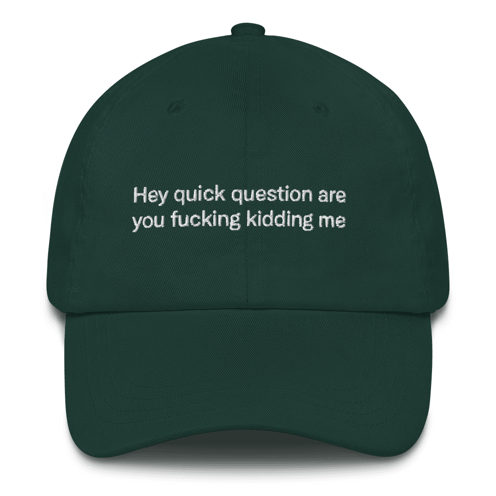 Hey quick question are you fucking kidding me Embroidered Hat - Polychrome Goods 🍊