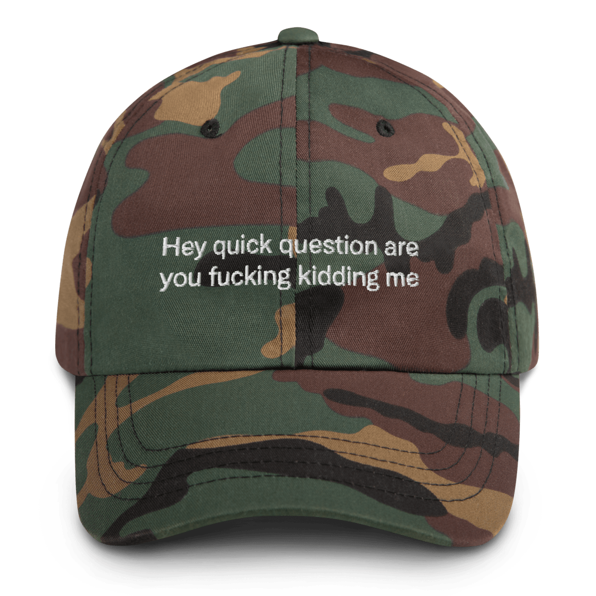 Hey quick question are you fucking kidding me Embroidered Hat - Polychrome Goods 🍊