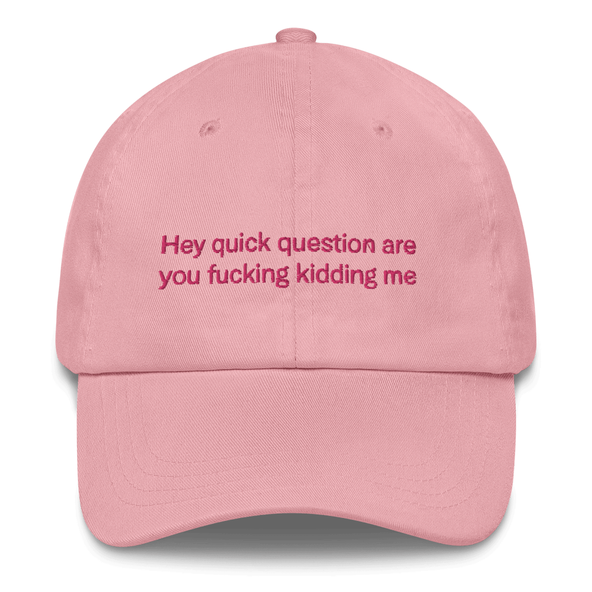 Hey quick question are you fucking kidding me Embroidered Hat - Polychrome Goods 🍊