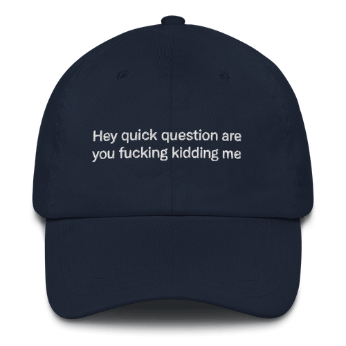 Hey quick question are you fucking kidding me Embroidered Hat
