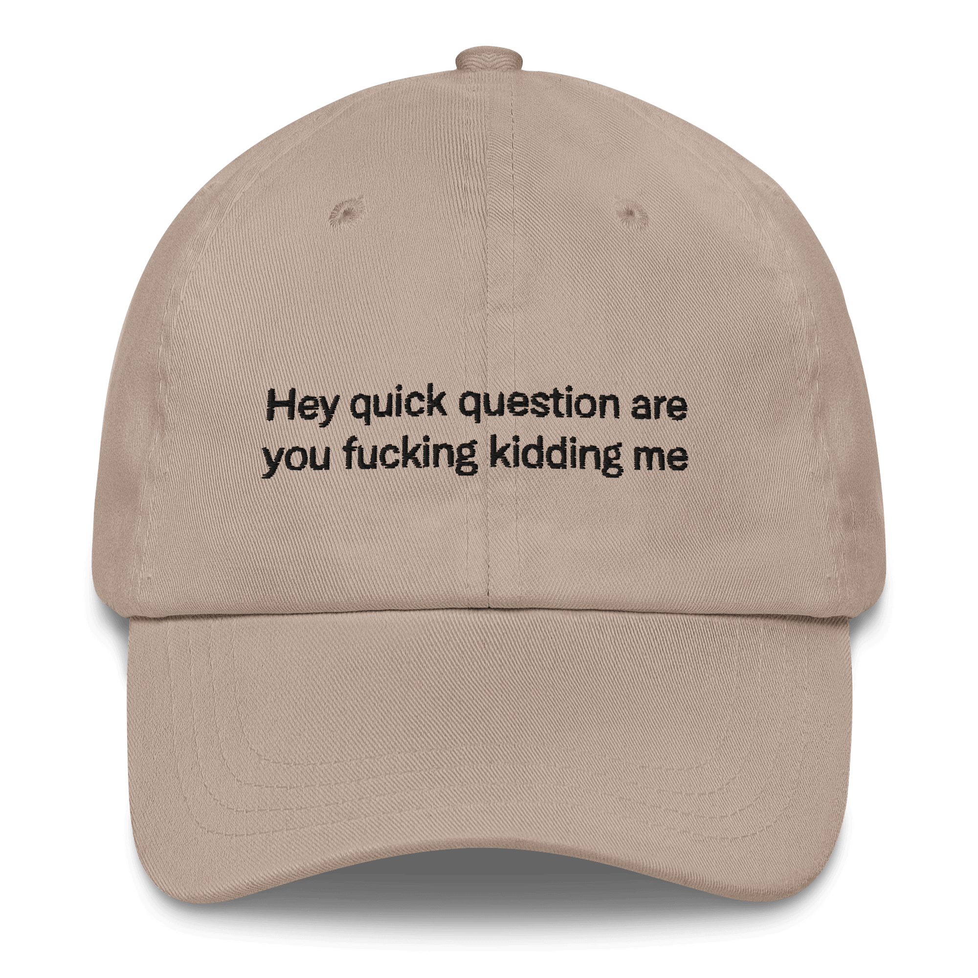 Hey quick question are you fucking kidding me Embroidered Hat - Polychrome Goods 🍊
