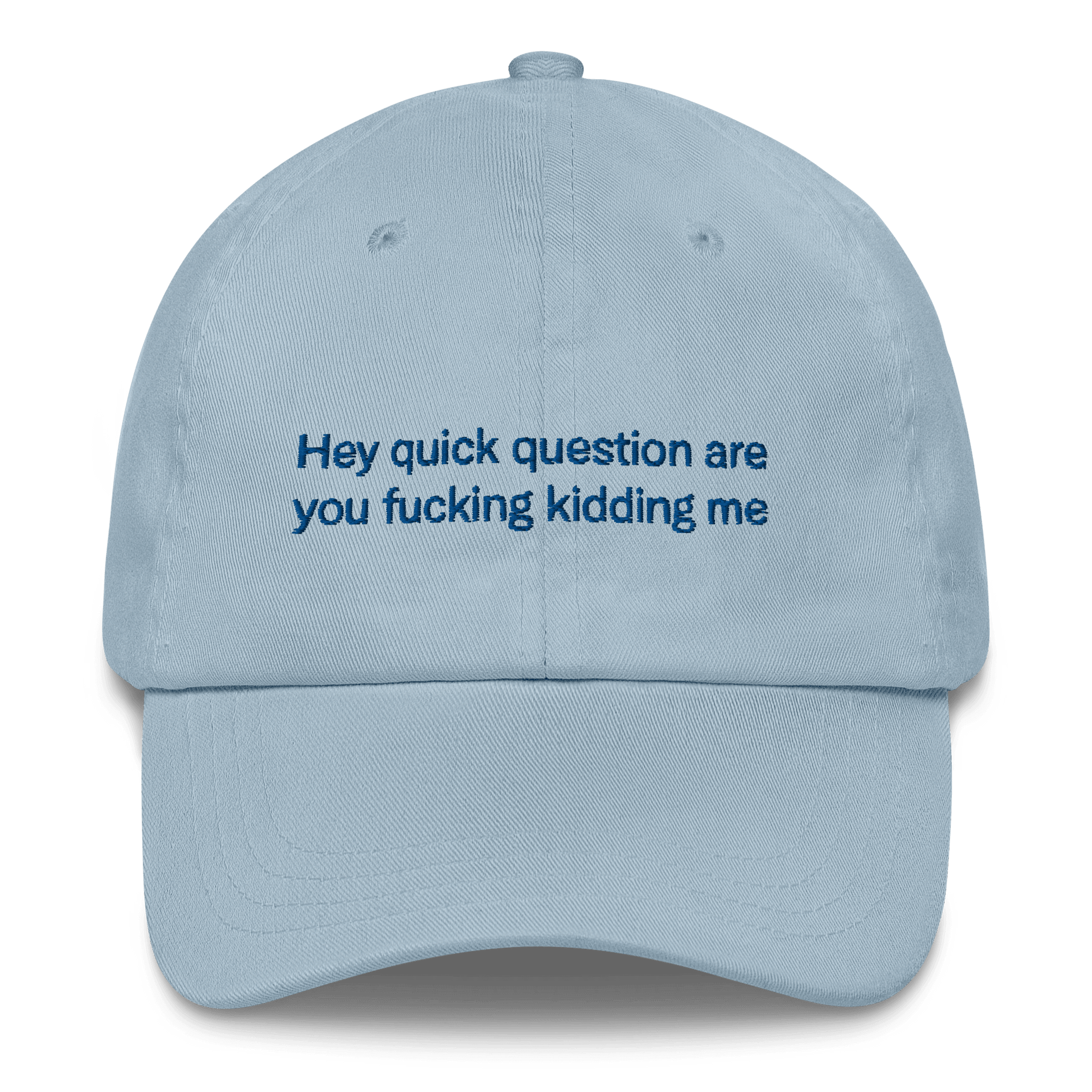 Hey quick question are you fucking kidding me Embroidered Hat - Polychrome Goods 🍊