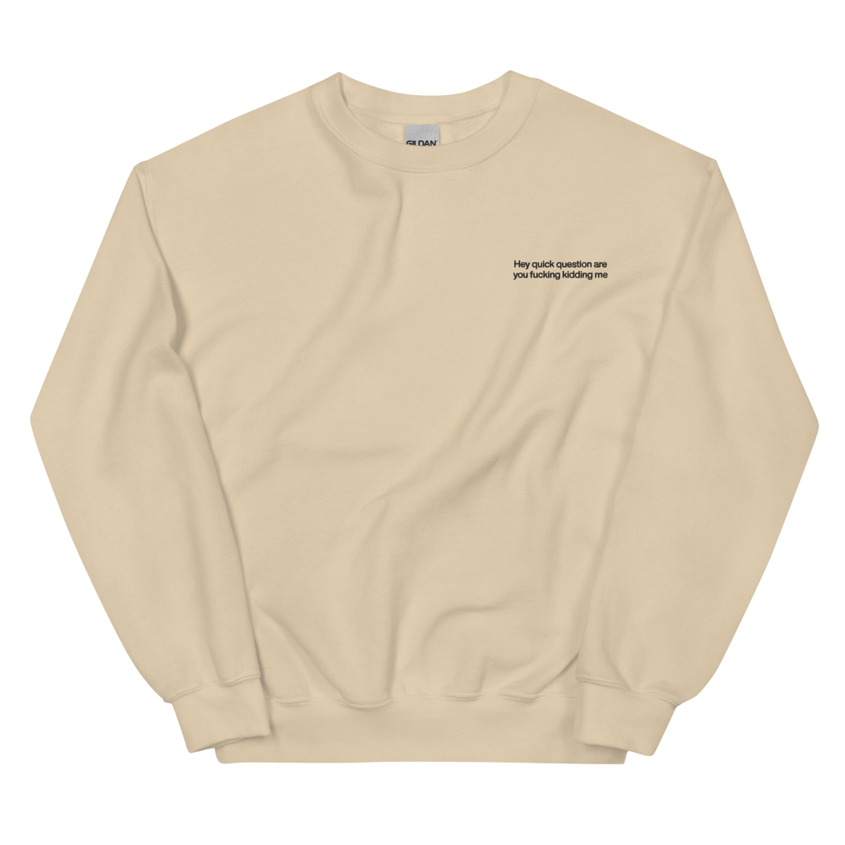 Hey quick question are you fucking kidding me. Embroidered Sweatshirt - Polychrome Goods 🍊