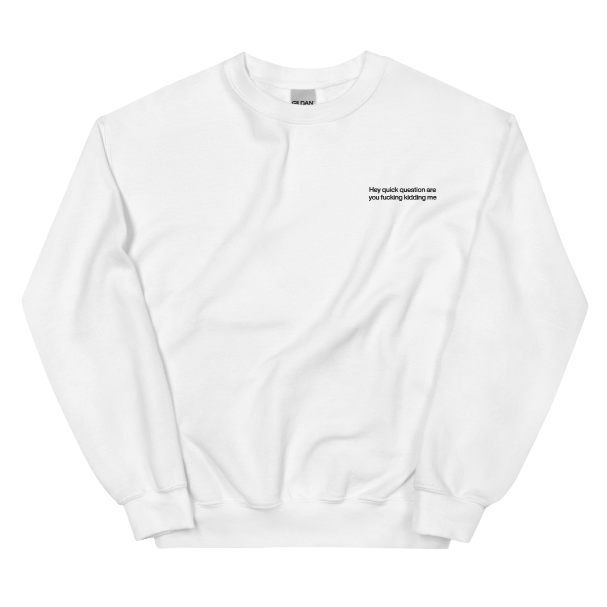 Hey quick question are you fucking kidding me. Embroidered Sweatshirt - Polychrome Goods 🍊