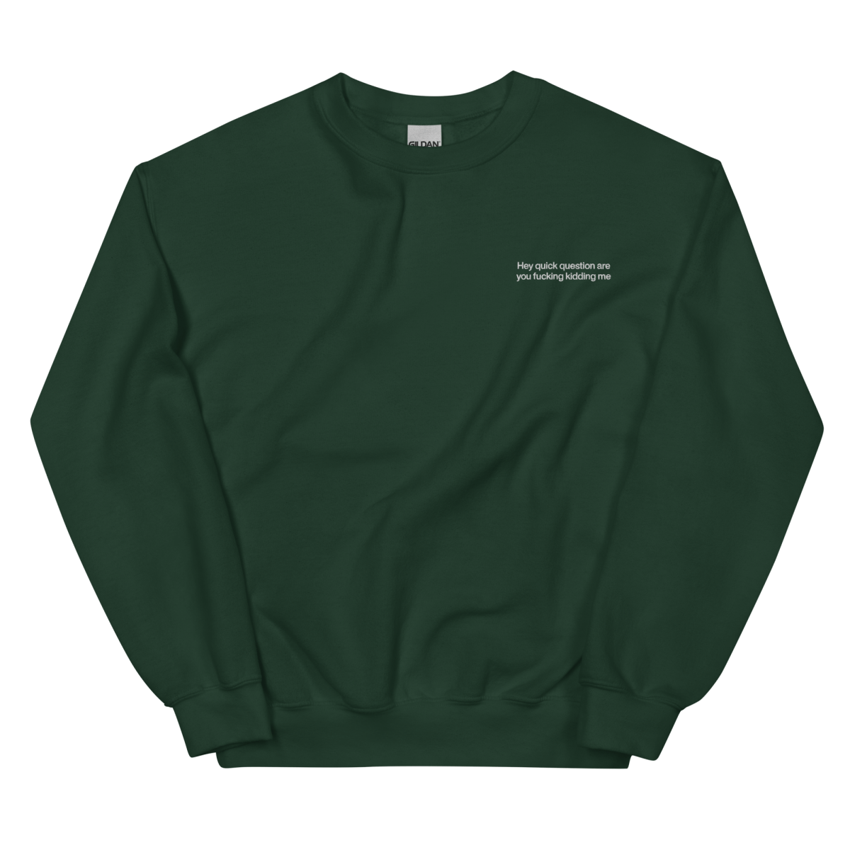 Hey quick question are you fucking kidding me. Embroidered Sweatshirt - Polychrome Goods 🍊