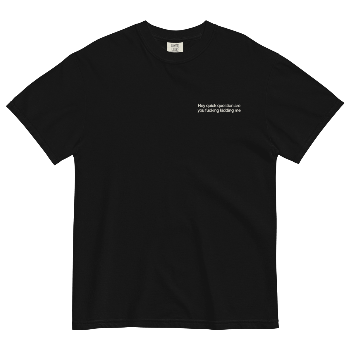 Hey quick question are you fucking kidding me Embroidered T-Shirt - Polychrome Goods 🍊