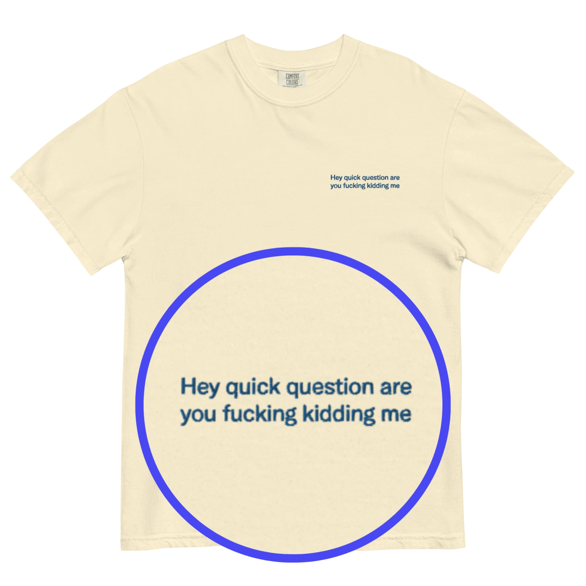 Hey quick question are you fucking kidding me Embroidered T-Shirt - Polychrome Goods 🍊