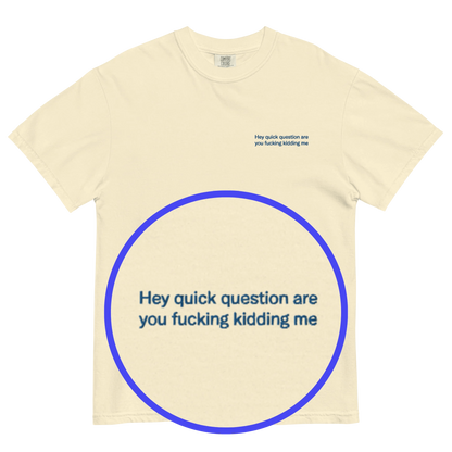 Hey quick question are you fucking kidding me Embroidered T-Shirt - Polychrome Goods 🍊