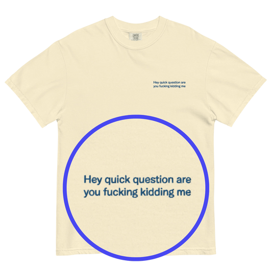 Hey quick question are you fucking kidding me Embroidered T-Shirt - Polychrome Goods 🍊