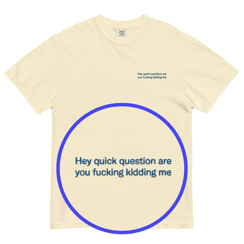 Hey quick question are you fucking kidding me Embroidered T-Shirt