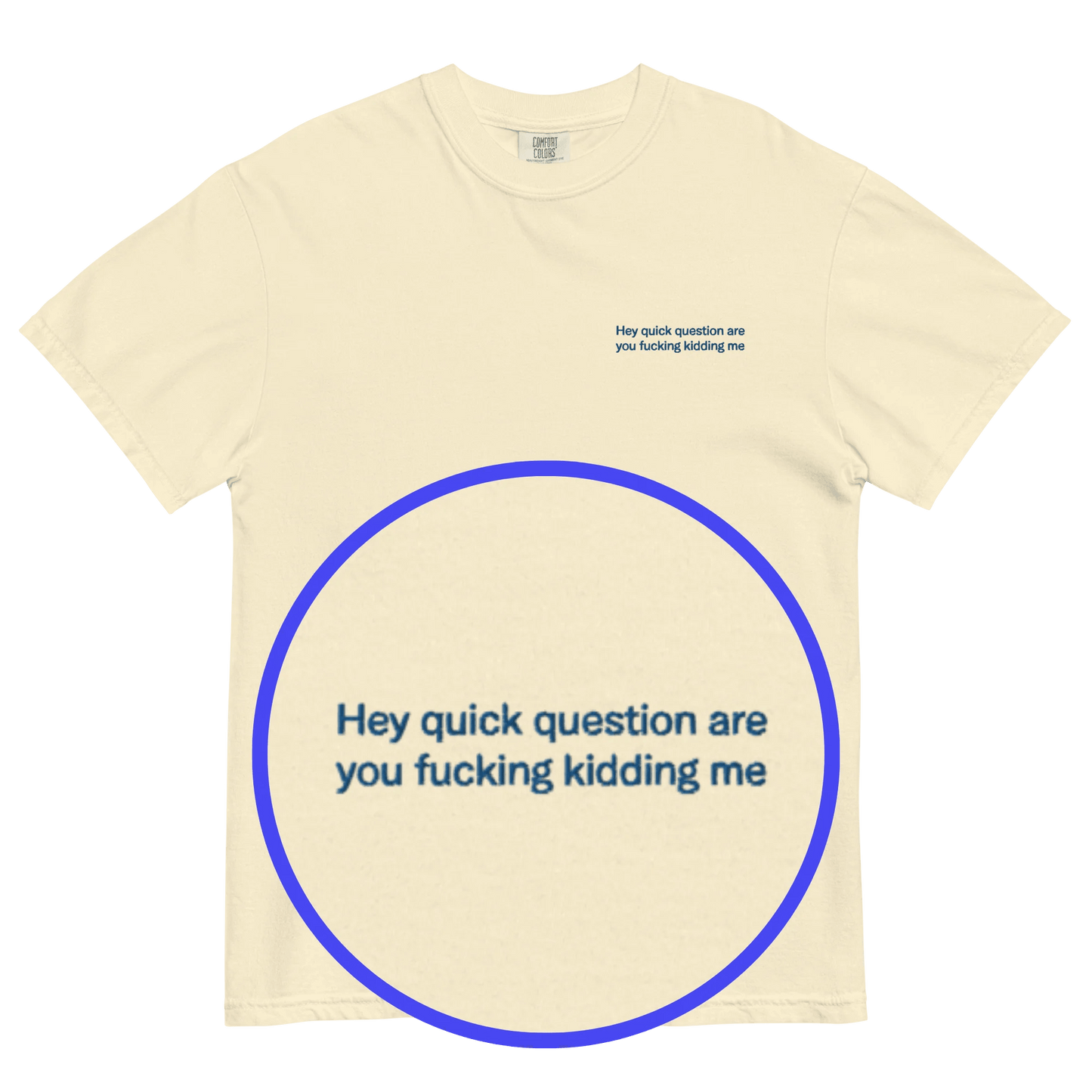 Hey quick question are you fucking kidding me Embroidered T-Shirt - Polychrome Goods 🍊