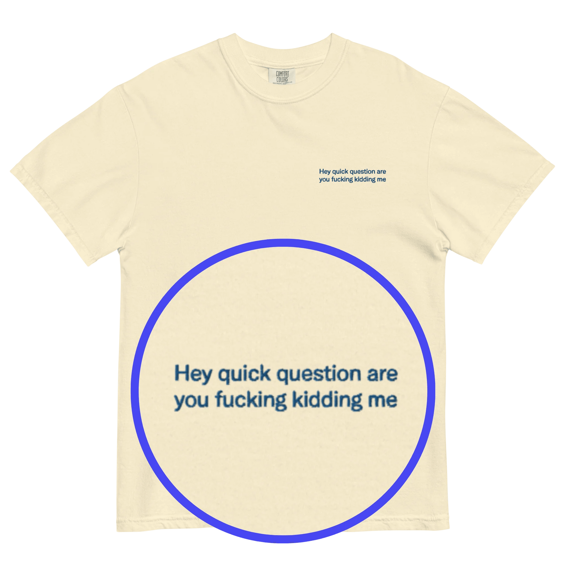 Hey quick question are you fucking kidding me Embroidered T-Shirt - Polychrome Goods 🍊