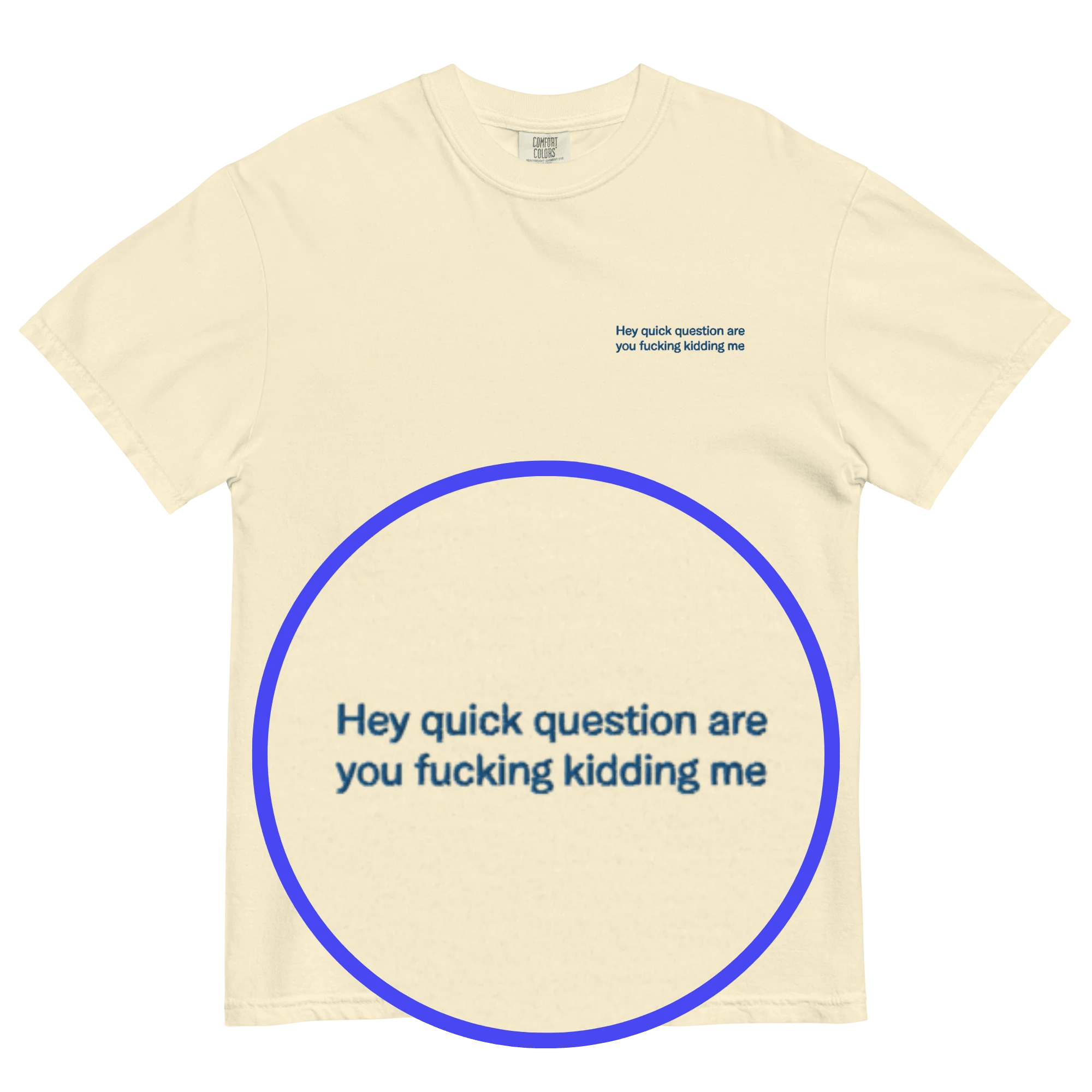 Hey quick question are you fucking kidding me Embroidered T-Shirt - Polychrome Goods 🍊