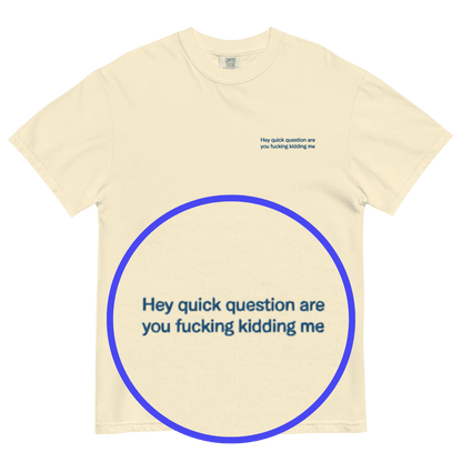 Hey quick question are you fucking kidding me Embroidered T-Shirt - Polychrome Goods 🍊