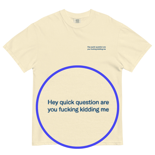 Hey quick question are you fucking kidding me Embroidered T-Shirt