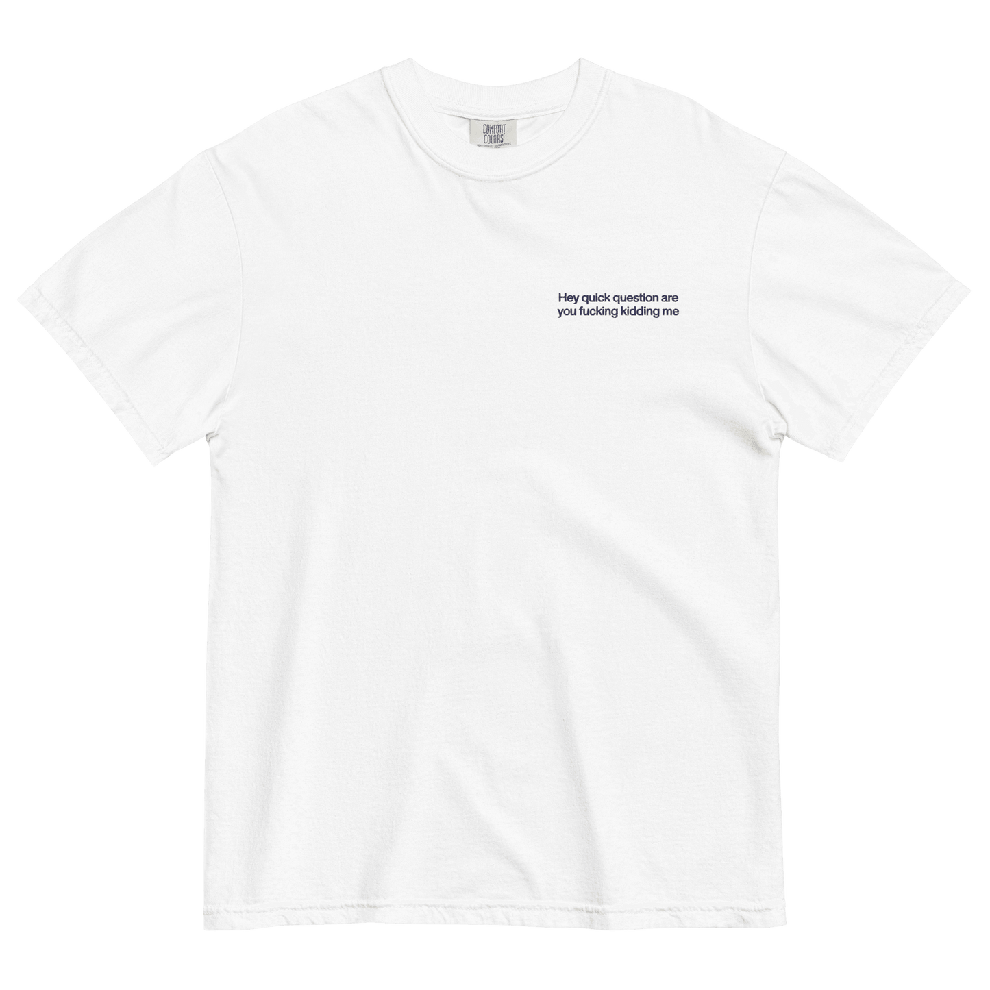 Hey quick question are you fucking kidding me Embroidered T-Shirt - Polychrome Goods 🍊