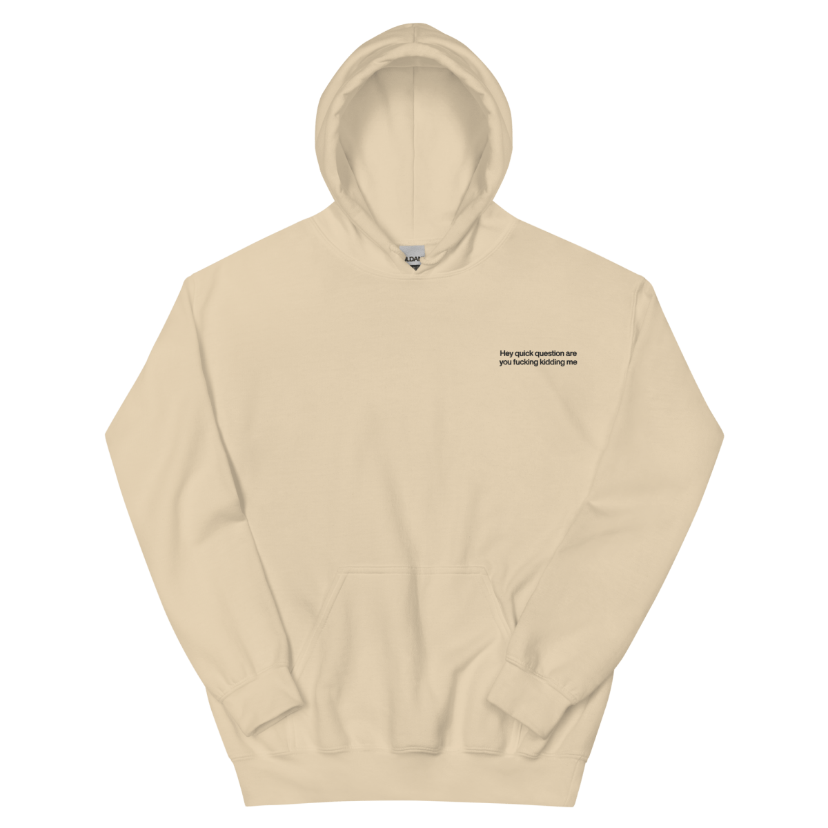 Hey quick question are you fucking kidding me Hoodie - Polychrome Goods 🍊