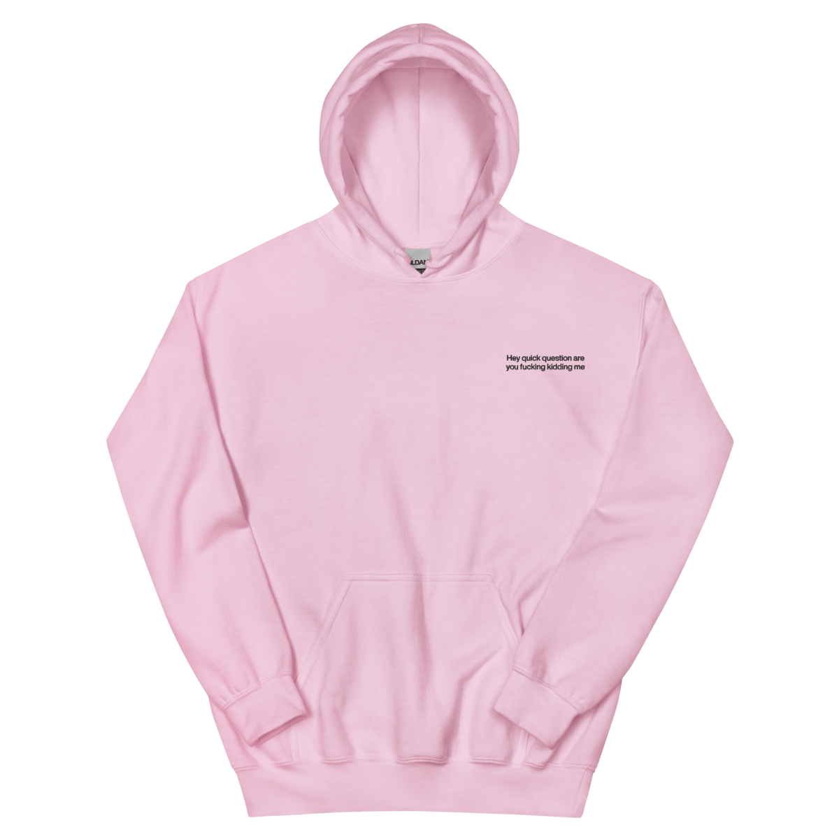 Hey quick question are you fucking kidding me Hoodie - Polychrome Goods 🍊