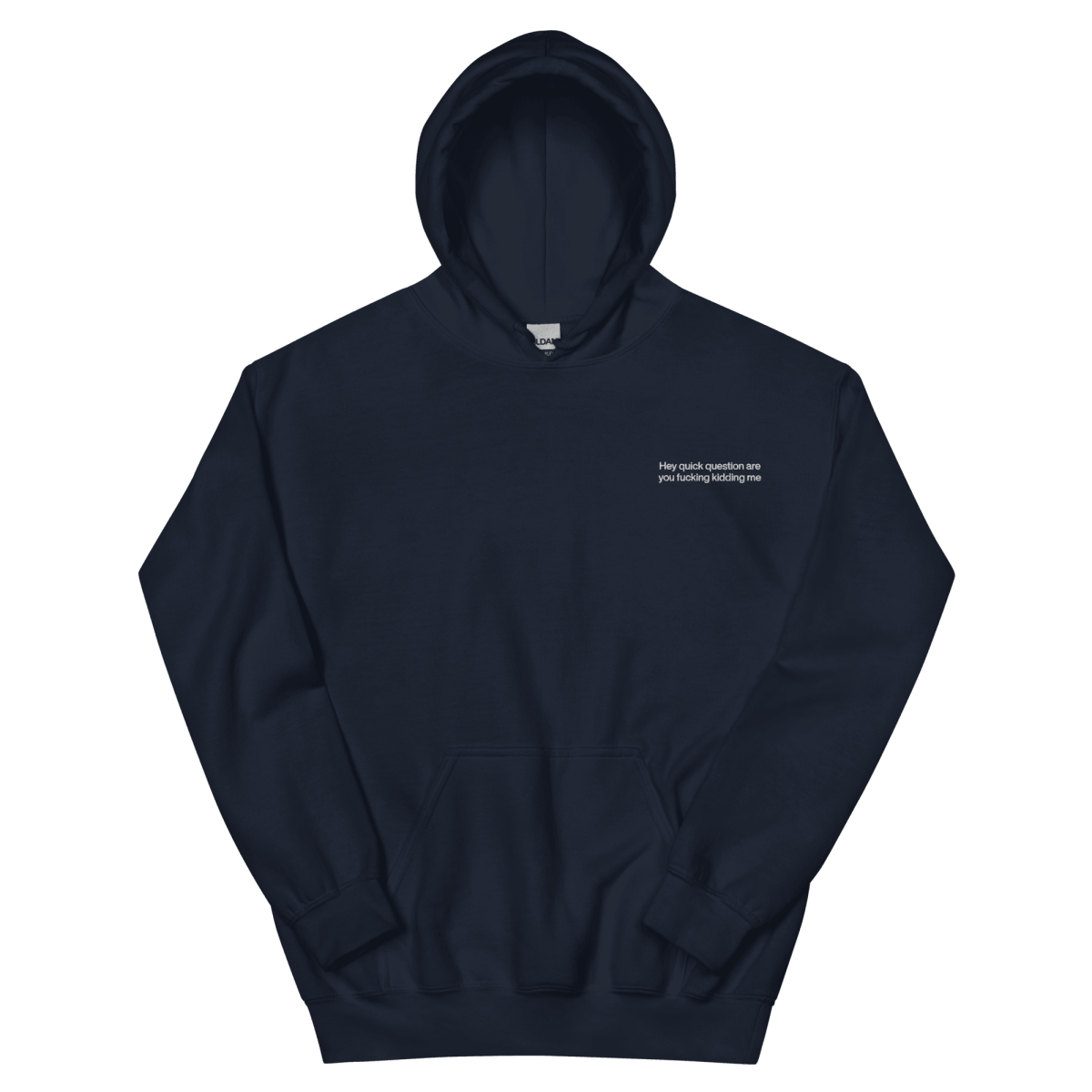 Hey quick question are you fucking kidding me Hoodie - Polychrome Goods 🍊