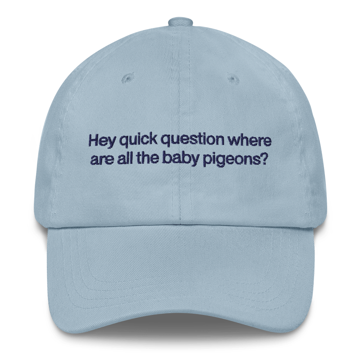 Hey quick question where are all the baby pigeons? 🐦 Embroidered Hat - Polychrome Goods 🍊