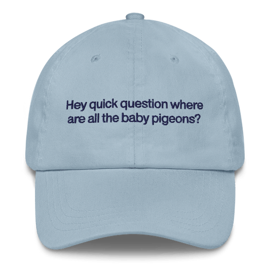 Hey quick question where are all the baby pigeons? 🐦 Embroidered Hat - Polychrome Goods 🍊