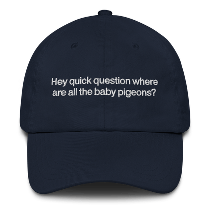 Hey quick question where are all the baby pigeons? 🐦 Embroidered Hat - Polychrome Goods 🍊