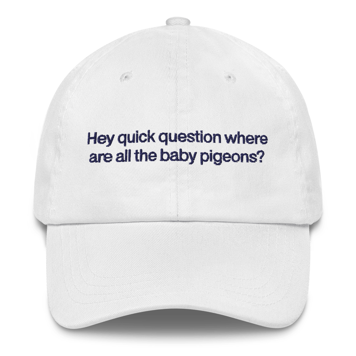 Hey quick question where are all the baby pigeons? 🐦 Embroidered Hat - Polychrome Goods 🍊