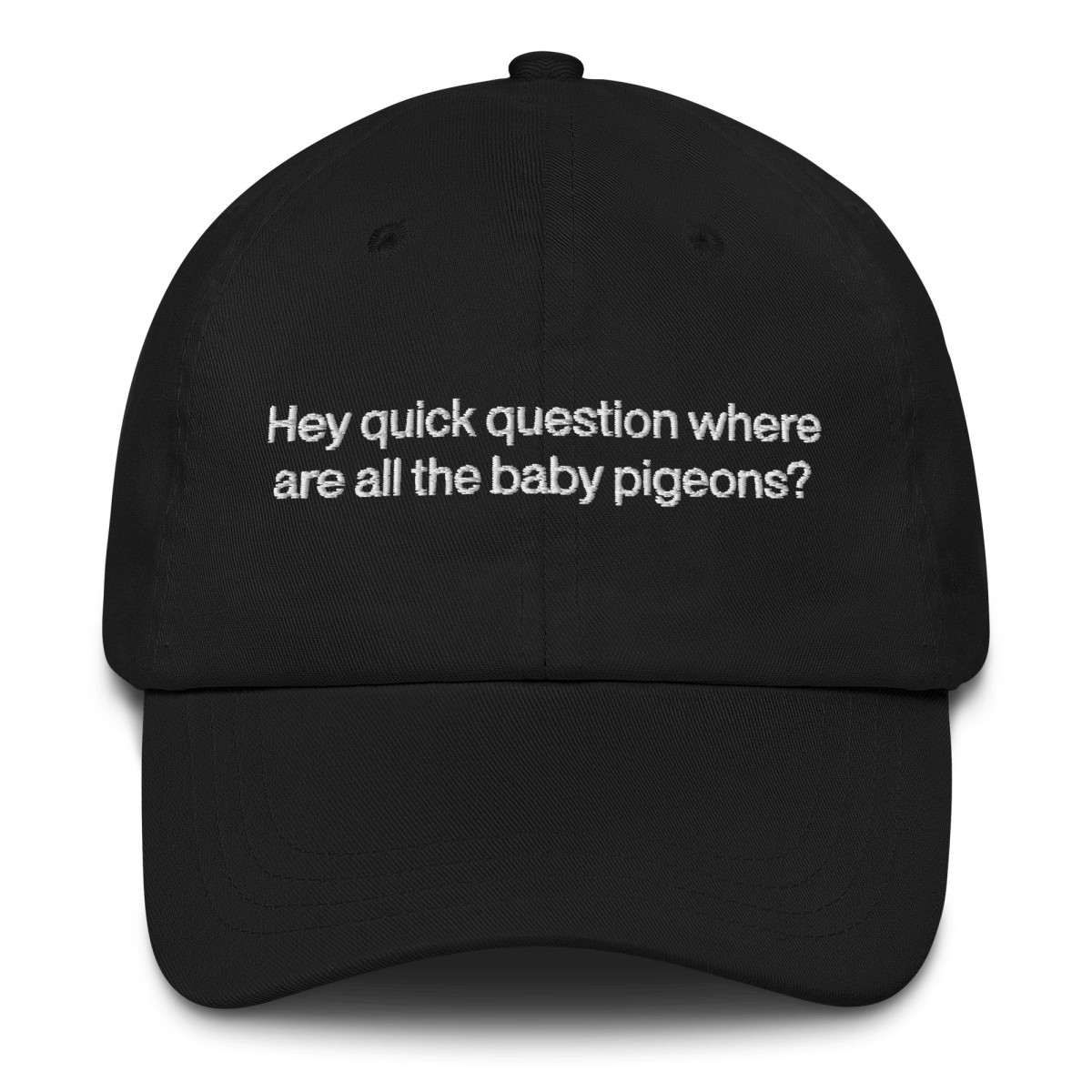 Hey quick question where are all the baby pigeons? 🐦 Embroidered Hat - Polychrome Goods 🍊