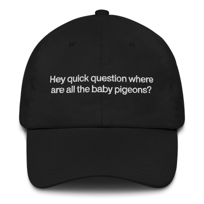 Hey quick question where are all the baby pigeons? 🐦 Embroidered Hat - Polychrome Goods 🍊