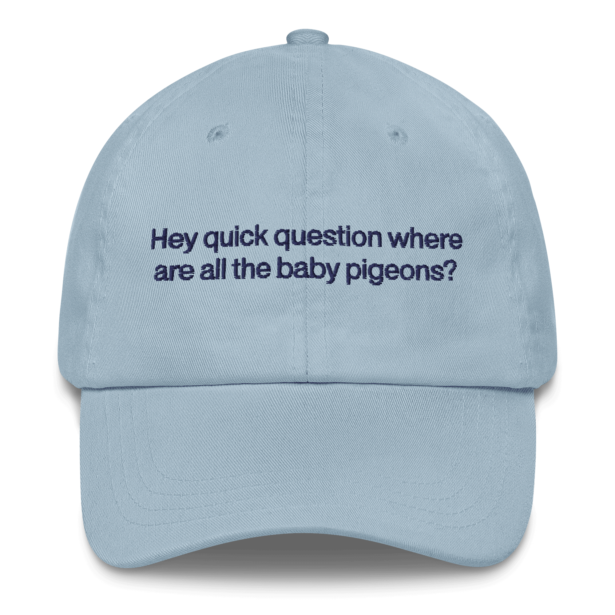 Hey quick question where are all the baby pigeons? 🐦 Embroidered Hat - Polychrome Goods 🍊