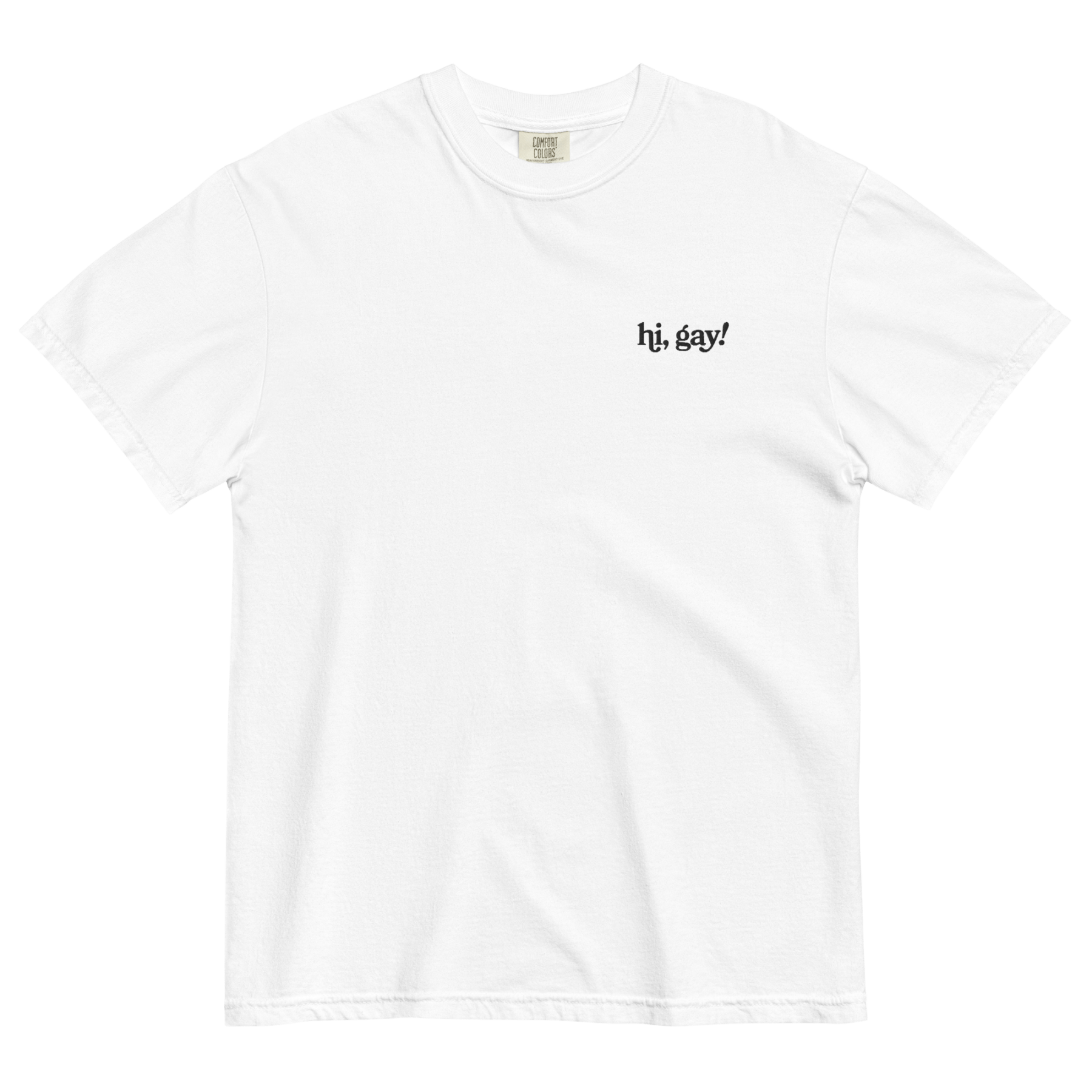 Hi, Gay! Embroidered T-Shirt - Polychrome Goods 🍊