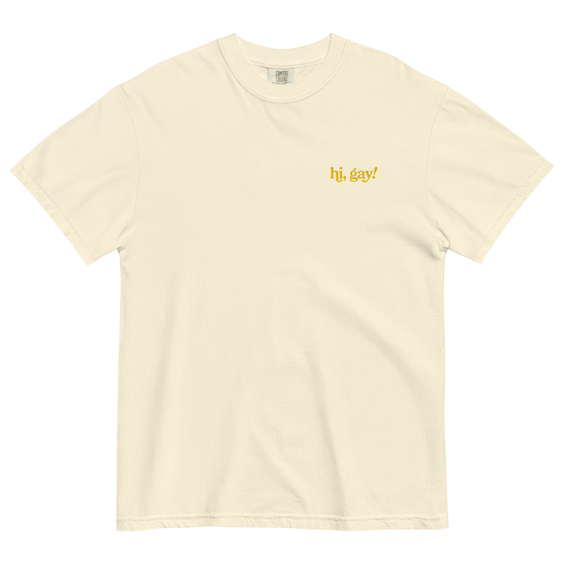 Hi, Gay! Embroidered T-Shirt - Polychrome Goods 🍊