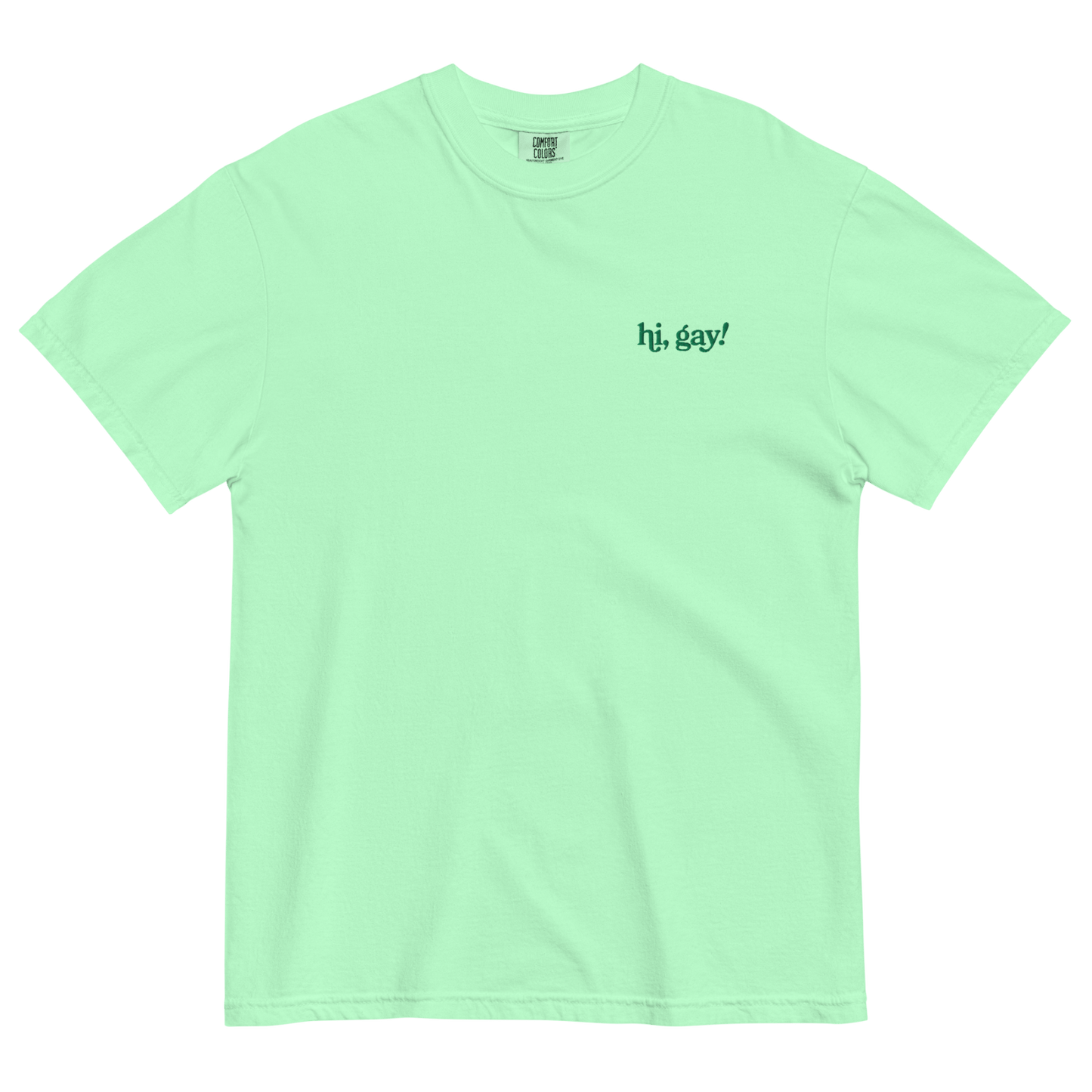 Hi, Gay! Embroidered T-Shirt - Polychrome Goods 🍊