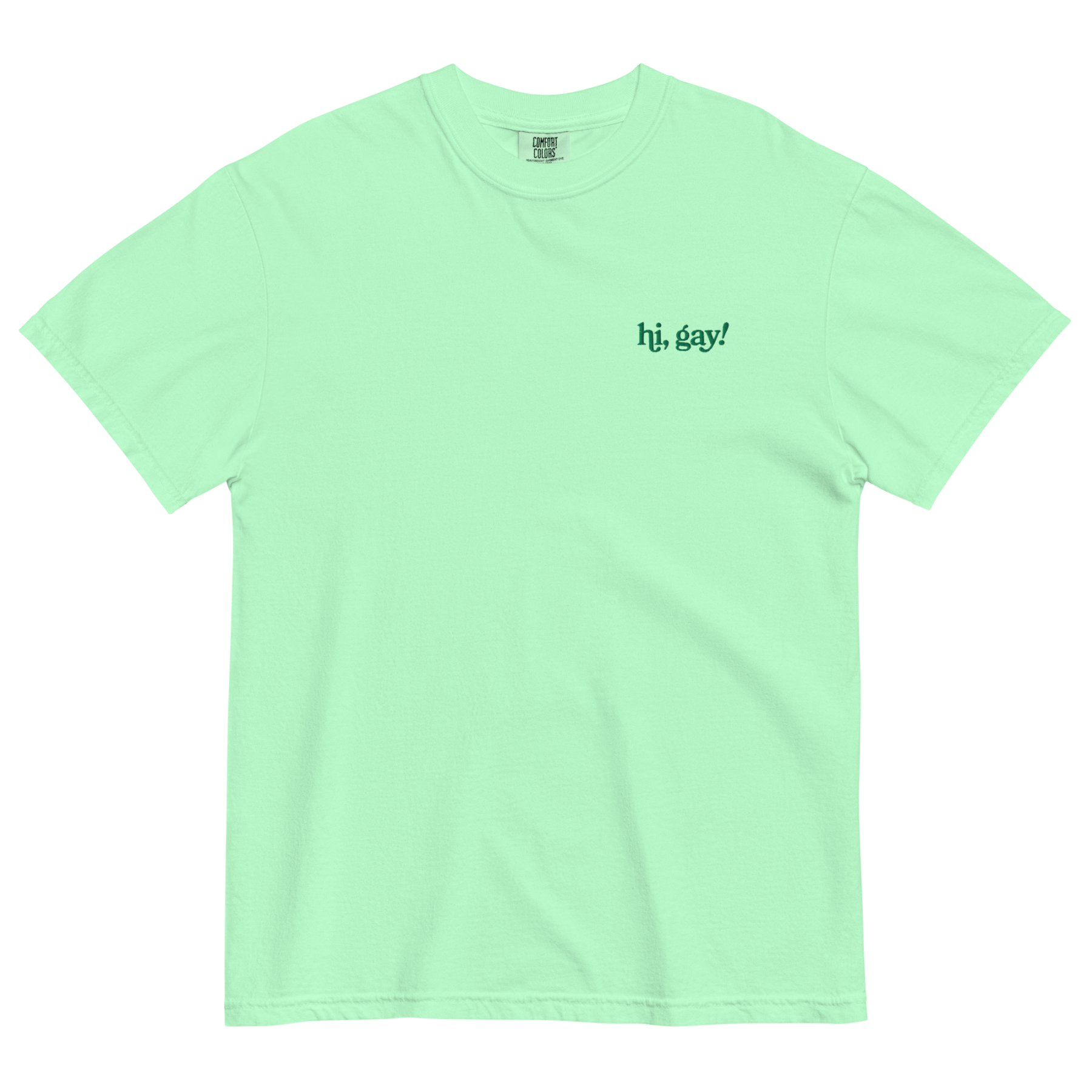 Hi, Gay! Embroidered T-Shirt - Polychrome Goods 🍊