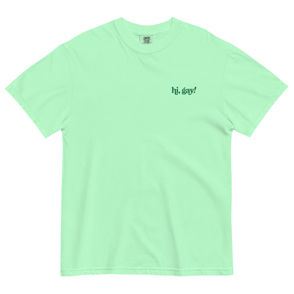 Hi, Gay! Embroidered T-Shirt - Polychrome Goods 🍊