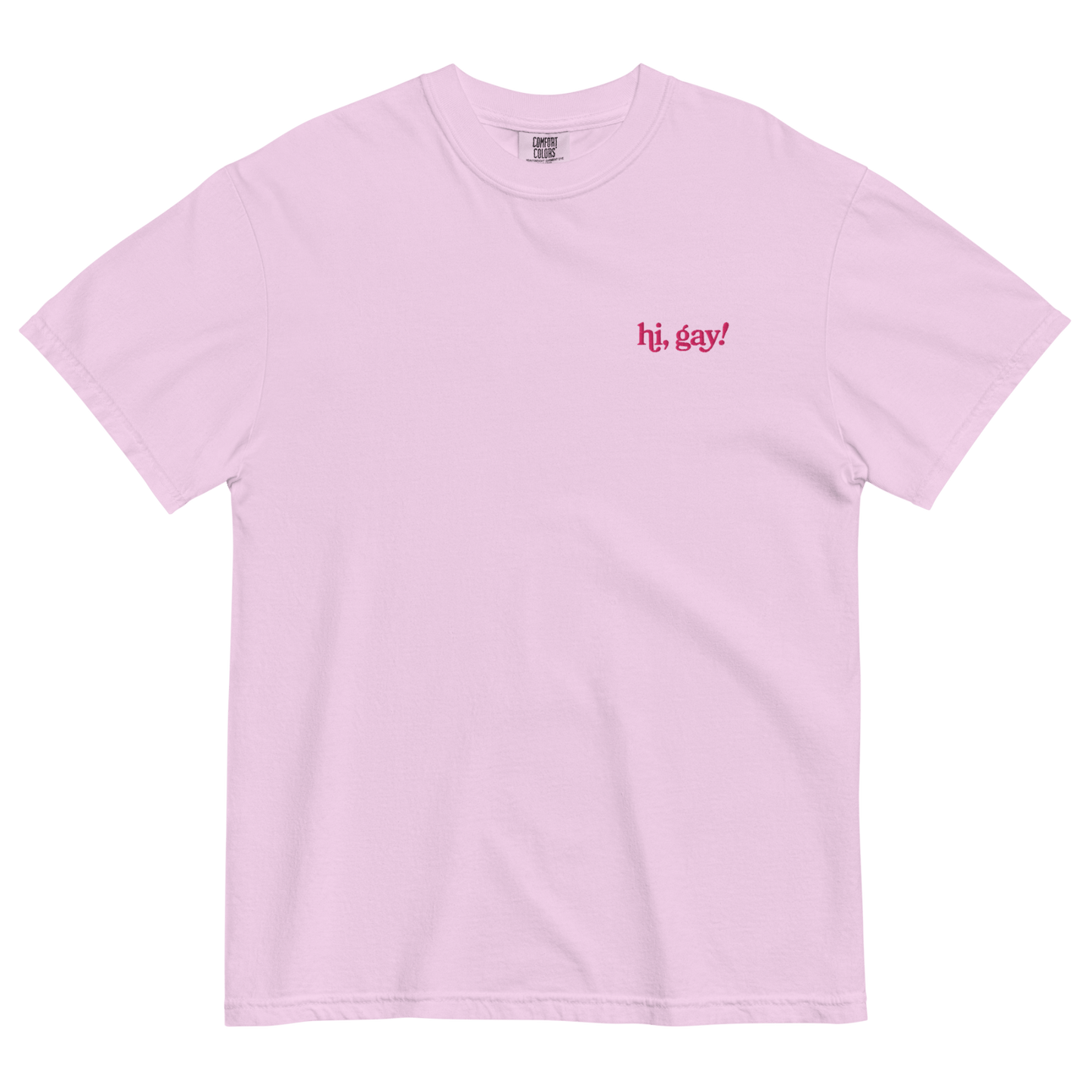 Hi, Gay! Embroidered T-Shirt - Polychrome Goods 🍊