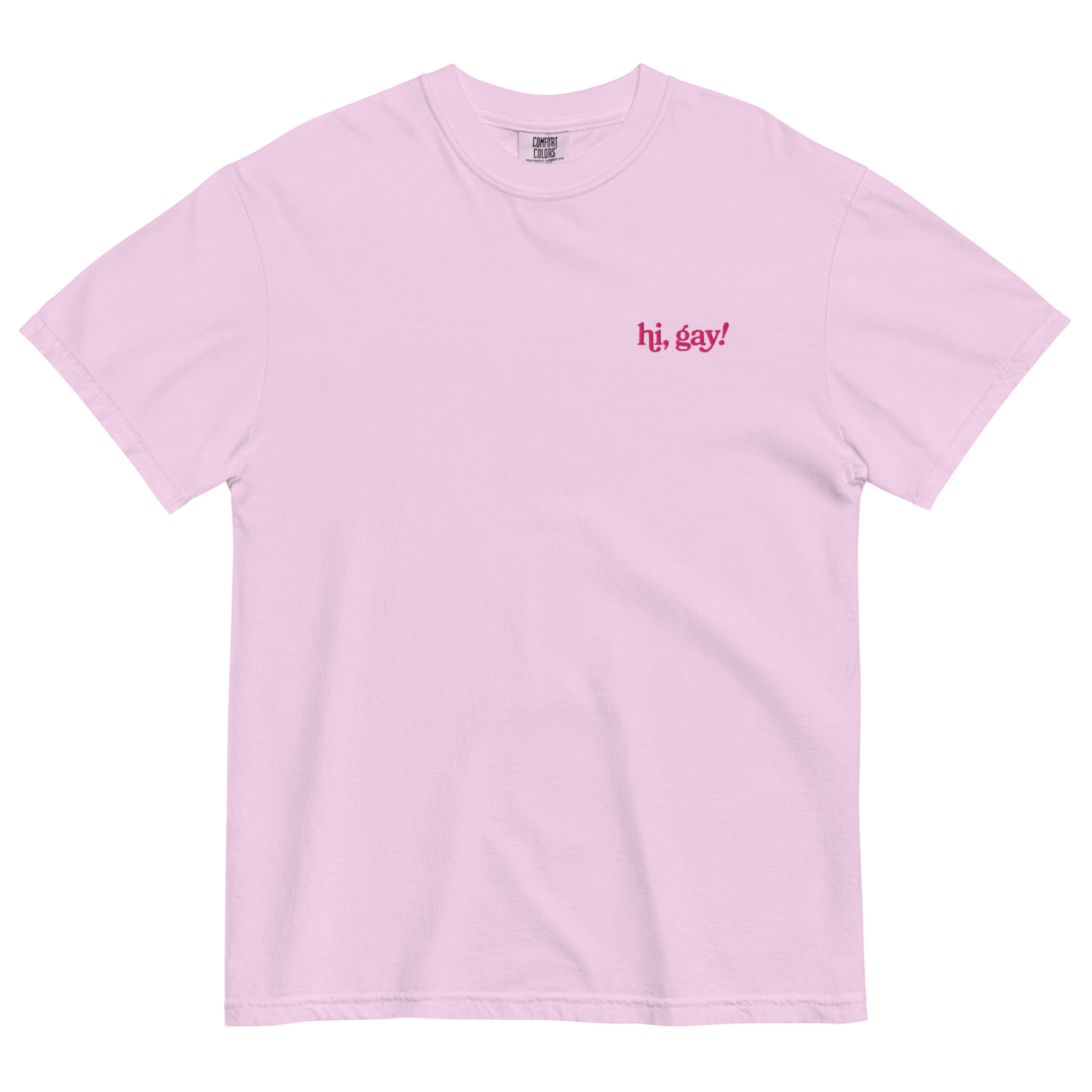 Hi, Gay! Embroidered T-Shirt - Polychrome Goods 🍊