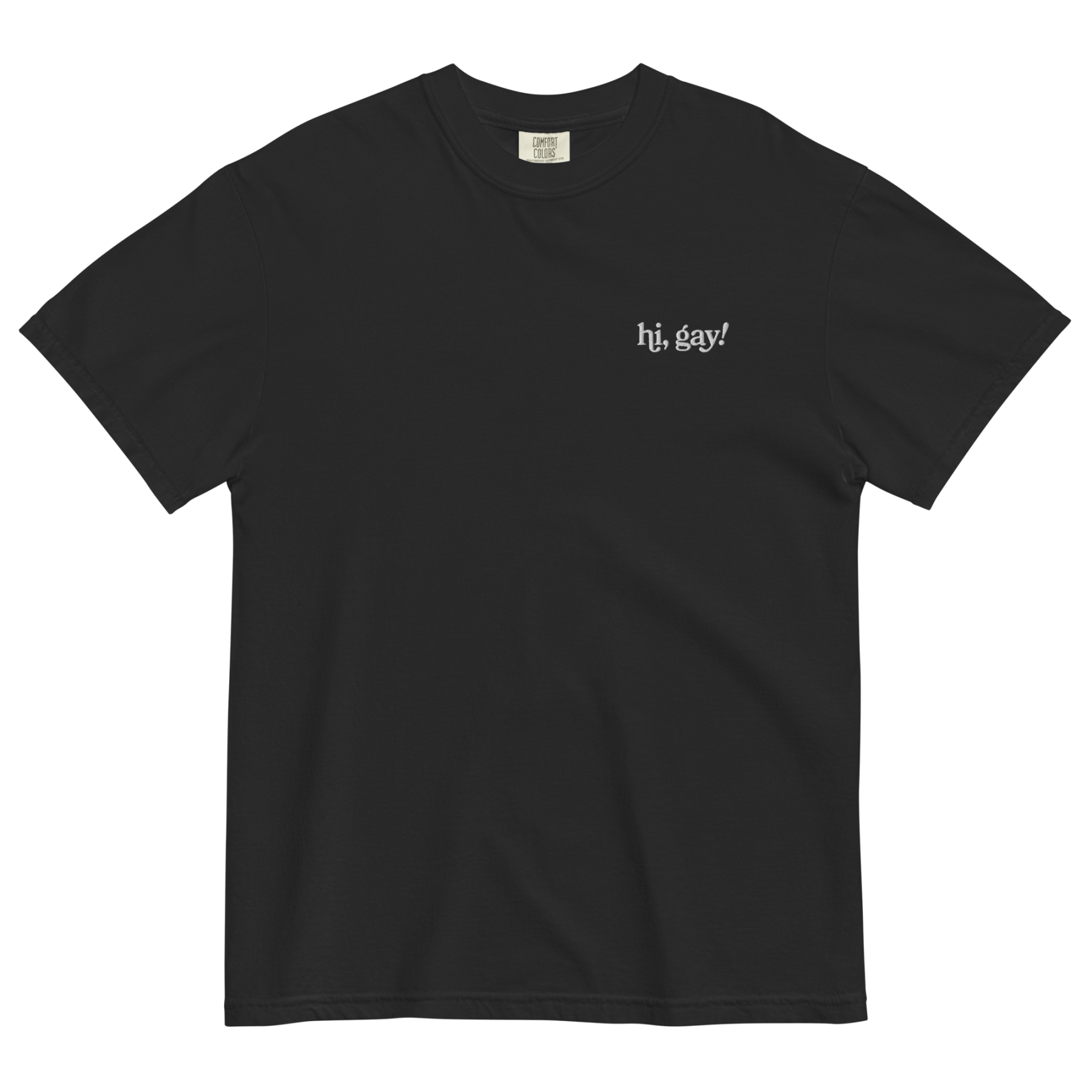 Hi, Gay! Embroidered T-Shirt - Polychrome Goods 🍊