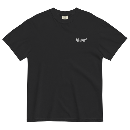 Hi, Gay! Embroidered T-Shirt - Polychrome Goods 🍊