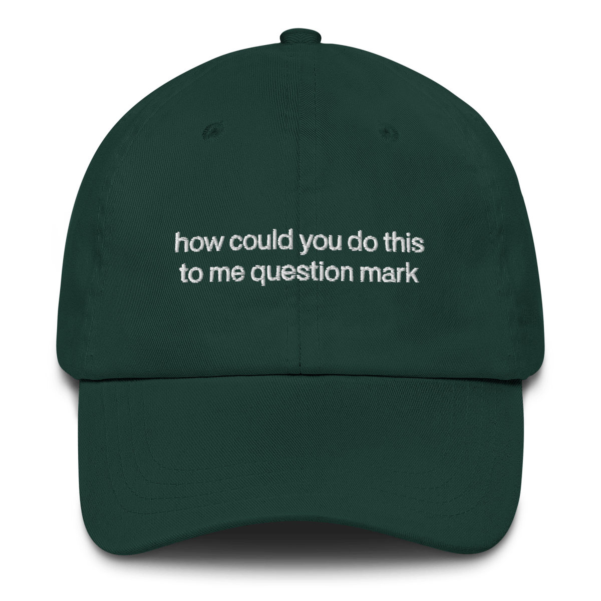 "How could you do this to me question mark" Embroidered Hat - RHONY Quote - Polychrome Goods 🍊