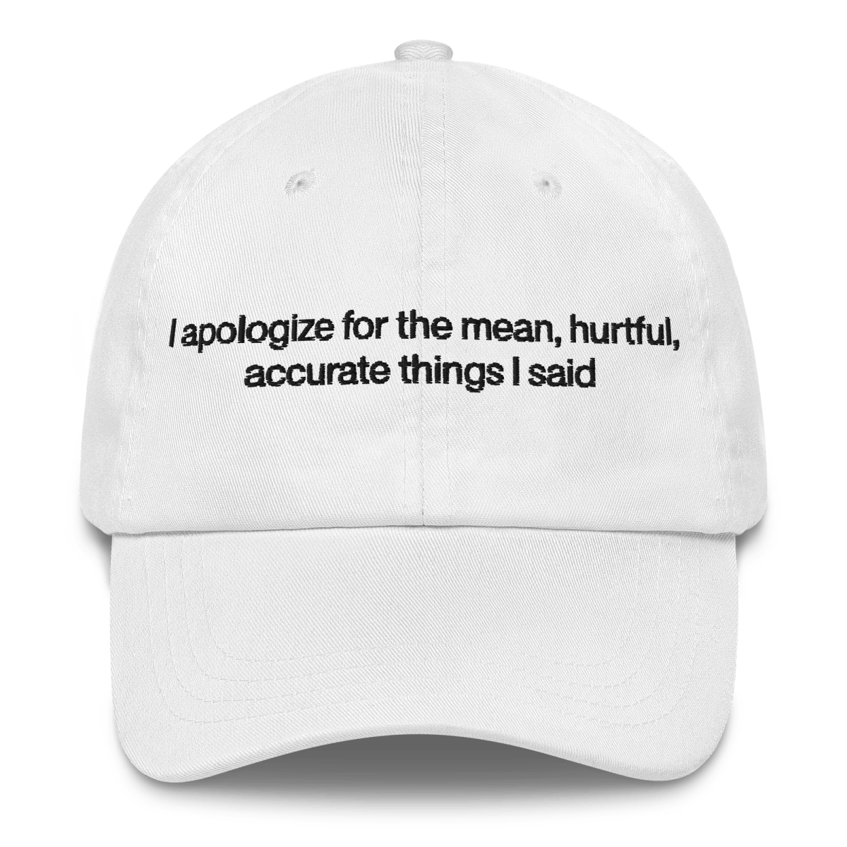 I apologize for the mean, hurtful, accurate things I said Embroidered Hat - Polychrome Goods 🍊