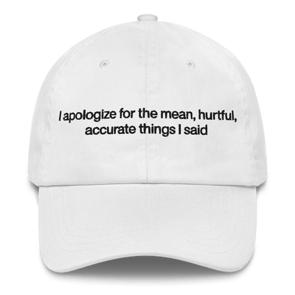 I apologize for the mean, hurtful, accurate things I said Embroidered Hat - Polychrome Goods 🍊