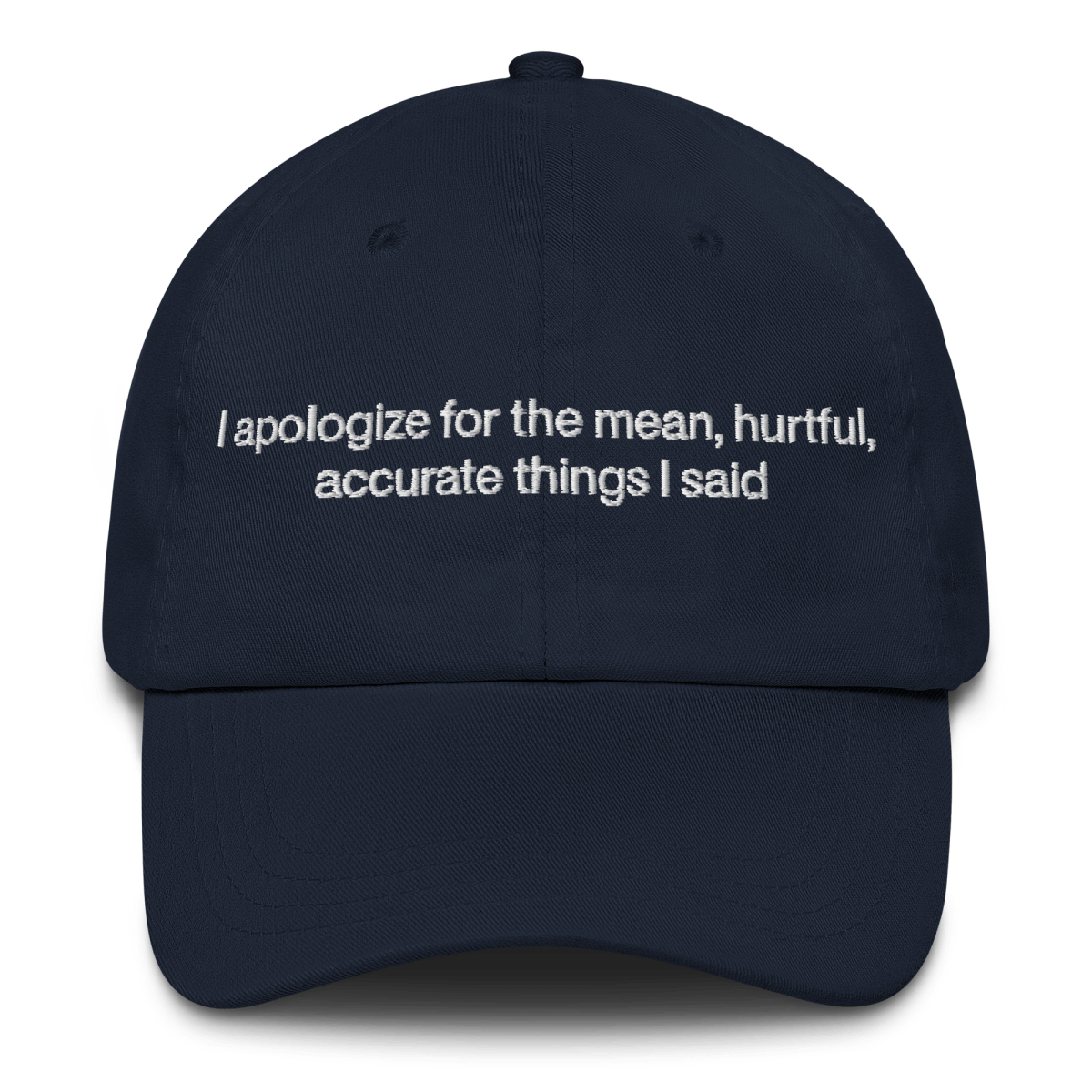 I apologize for the mean, hurtful, accurate things I said Embroidered Hat - Polychrome Goods 🍊