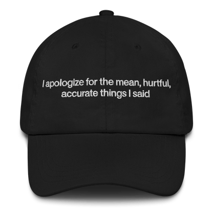 I apologize for the mean, hurtful, accurate things I said Embroidered Hat - Polychrome Goods 🍊