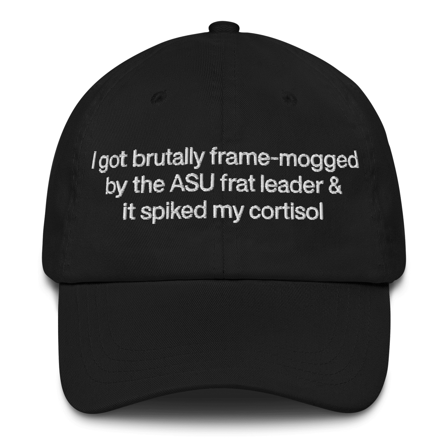 I got brutally frame - mogged by the ASU frat leader & all I got was this hat - Polychrome Goods