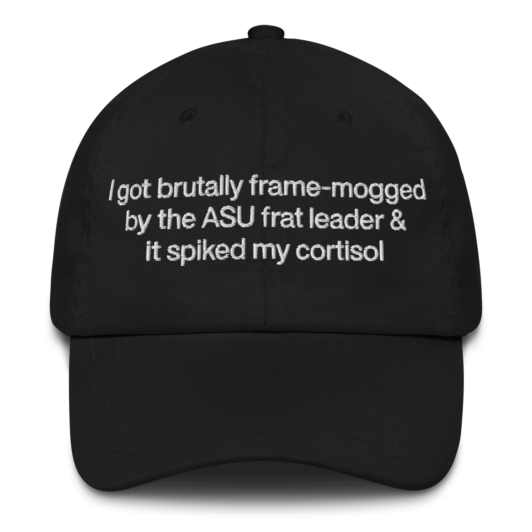 I got brutally frame - mogged by the ASU frat leader & all I got was this hat - Polychrome Goods