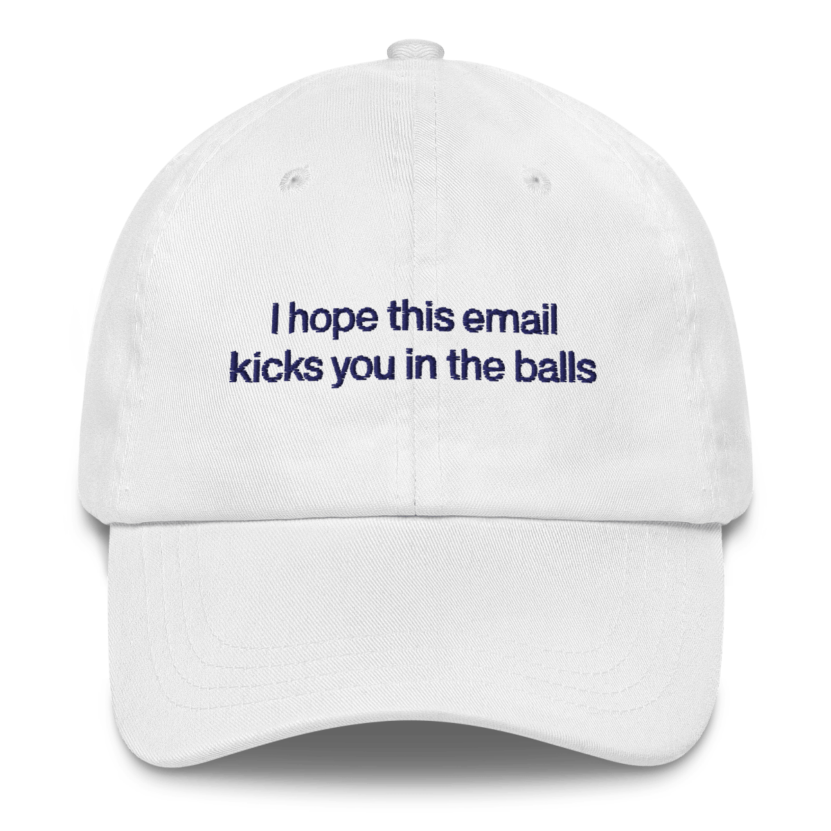 I hope this email kicks you in the balls Embroidered Hat - Polychrome Goods 🍊