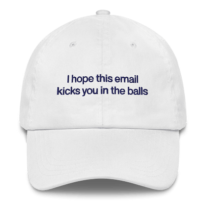 I hope this email kicks you in the balls Embroidered Hat - Polychrome Goods 🍊