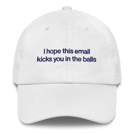 I hope this email kicks you in the balls Embroidered Hat - Polychrome Goods 🍊