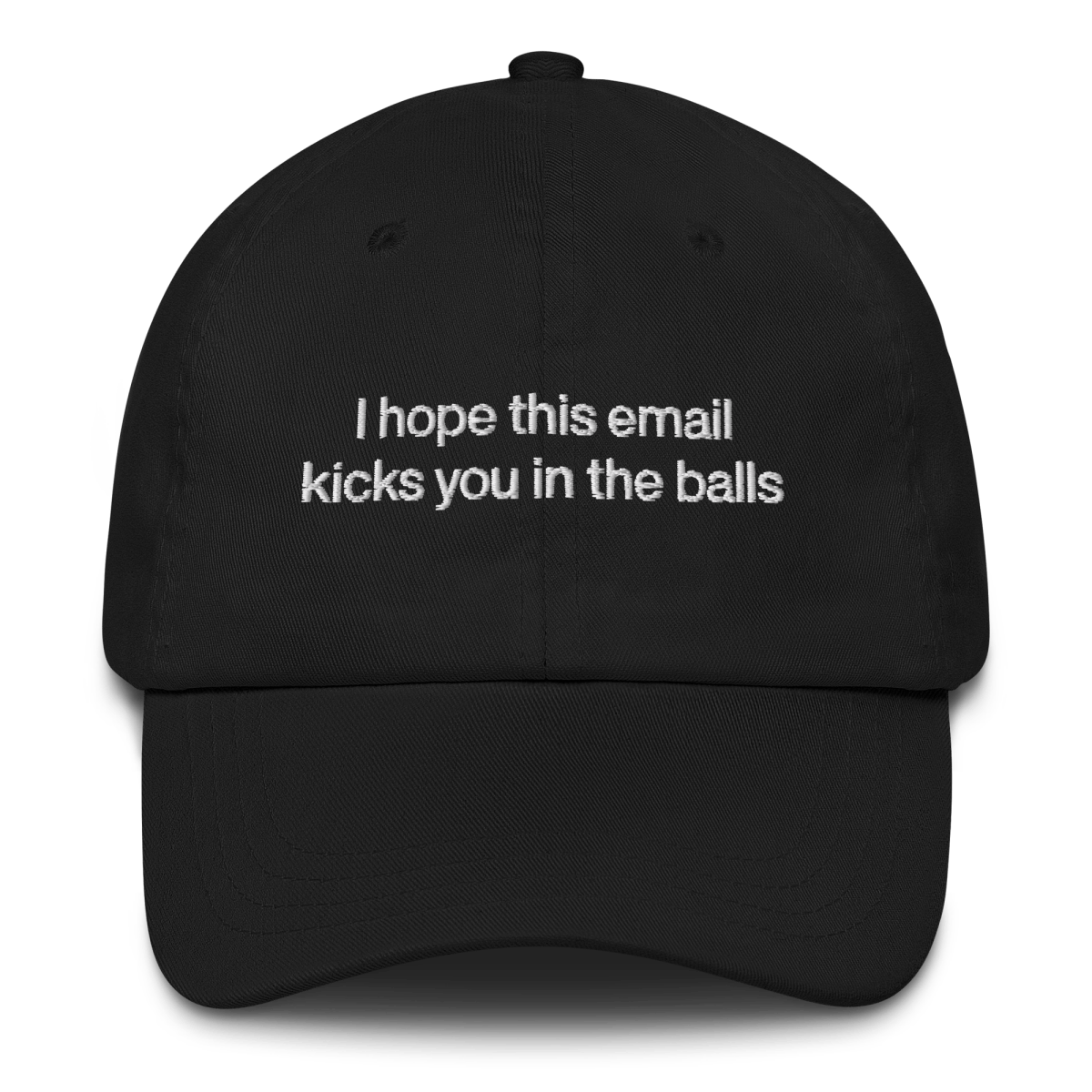 I hope this email kicks you in the balls Embroidered Hat - Polychrome Goods 🍊